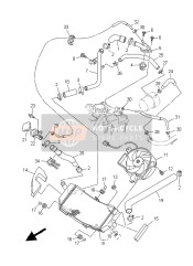 Radiator & Hose